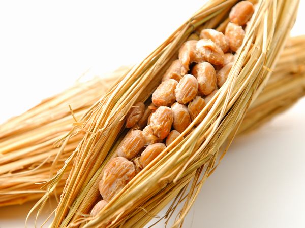 納豆ブランドを守る 茨城県水戸市が行う納豆消費UPの取り組み