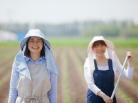 JAが取り扱っている農業融資の種類と特徴
