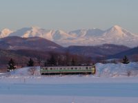 【北海道遠軽町】牛に優しく、効率的経営の牧場で酪農の道へと進みませんか？