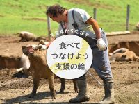 農水省、ECサイトの送料負担で生産者を支援　売上900万円達成の農家も