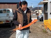マイナー野菜を収益化する方法を模索　有名シェフに愛される野菜作り