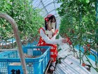 「農作業は甘くない」ってホント？　ロリータが4世代経営農家で農業修行してきた