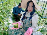 メロン栽培の重要ミッションに緊張！　ロリータが4世代経営農家で農業修行してきた　vol.2