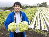 苗の活着・安定生産に貢献！ 産地も注目するカネカの新資材とは