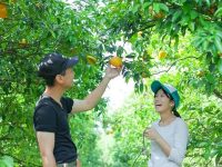 日曜定休にして良かったこと悪かったこと。農家夫婦の本音トーーーク！！