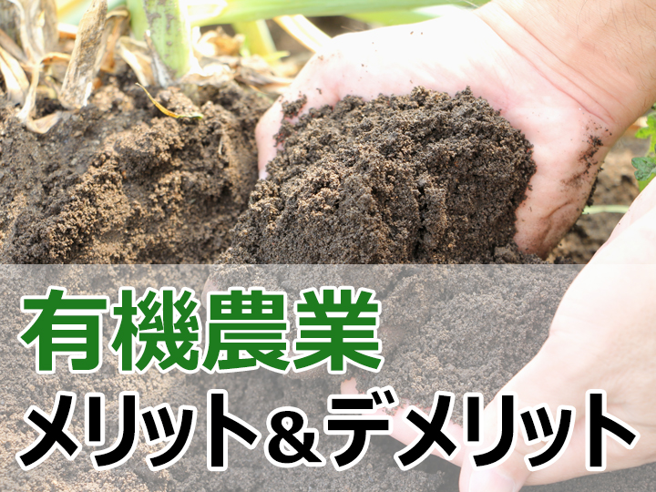 有機農業の販路あれこれ　令和だからこそできる販売方法と心構え