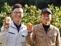 雨が降っても長く効く！ かんきつのカイガラムシ対策には『トランスフォーム フロアブル』