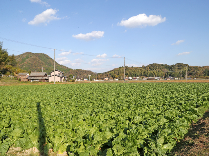 一般社団法人全国農協観光協会（多気町）