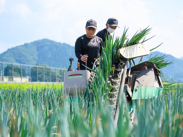 【秋田県鹿角市】どこで、どんな農業をする？農業法人で営農ノウハウをしっかり学べる“かづの流”農業インターンシップが熱い！