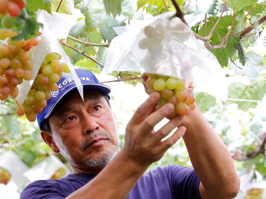 【動画あり】拡大した農業法人が今後も成長するために必要なこととは？『農家の課題解決』出張ワークショップ！