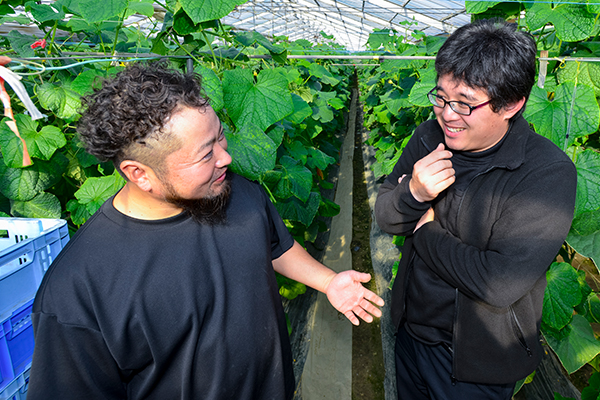 よく育ったキュウリを前に談義が止まらないお2人